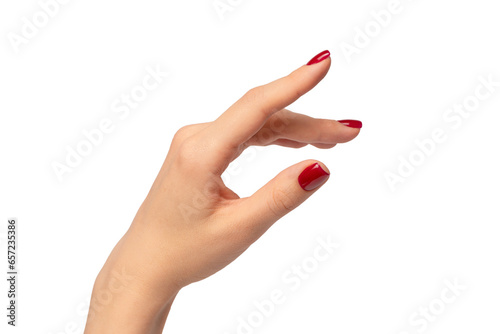 Canvastavla Woman hands with wine red color nails