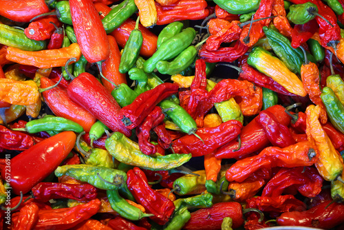 The jalapeno is a medium-sized chili pepper pod type cultivar of the species Capsicum annuum photo