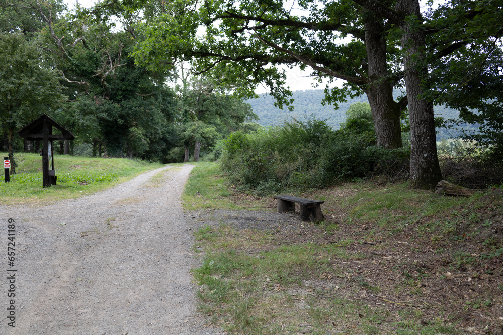 rural road through a forest and a very old wooden bench rural road through a forest and a very old wooden bench