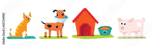 Pet Cure and Medical Treatment with Animal at Veterinary Vector Set