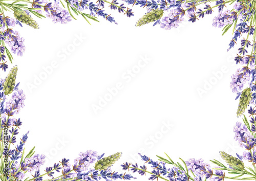 Lavender flower frame border. Watercolor botanical illustration of purple plant for square card. Hand drawn template isolated on white background. Drawing of floral banner with copy space