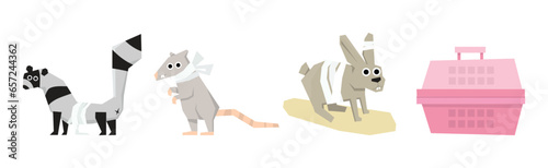 Pet Cure and Medical Treatment with Animal at Veterinary Vector Set