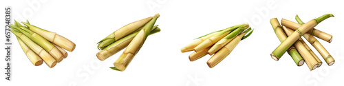 Bamboo shoots  Vegetable Hyperrealistic Highly Detailed Isolated On Plain White Background