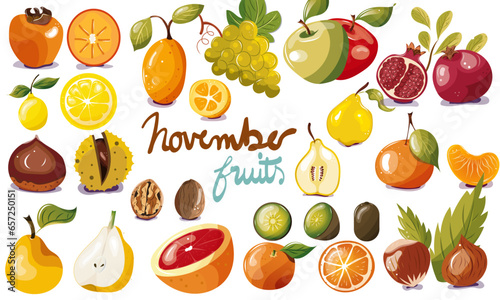 Ensemble de fruits de saison du mois de novembre. Illustration vectorielle. Graphic design éléments. Fruits pour clipart ou pour illustrations.  photo