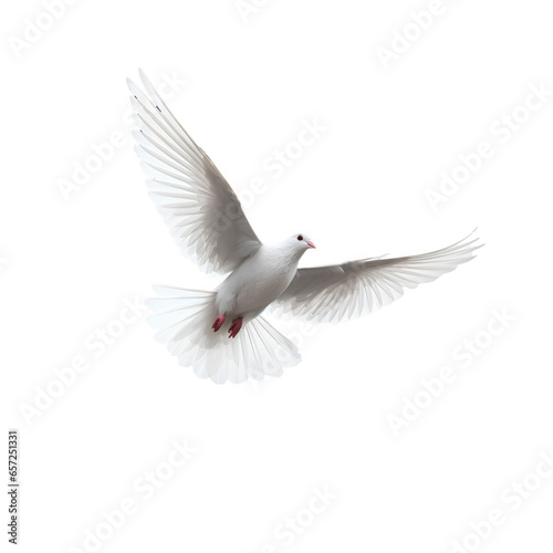 White dove flying freely on transparent background PNG. Freedom and independence concept.