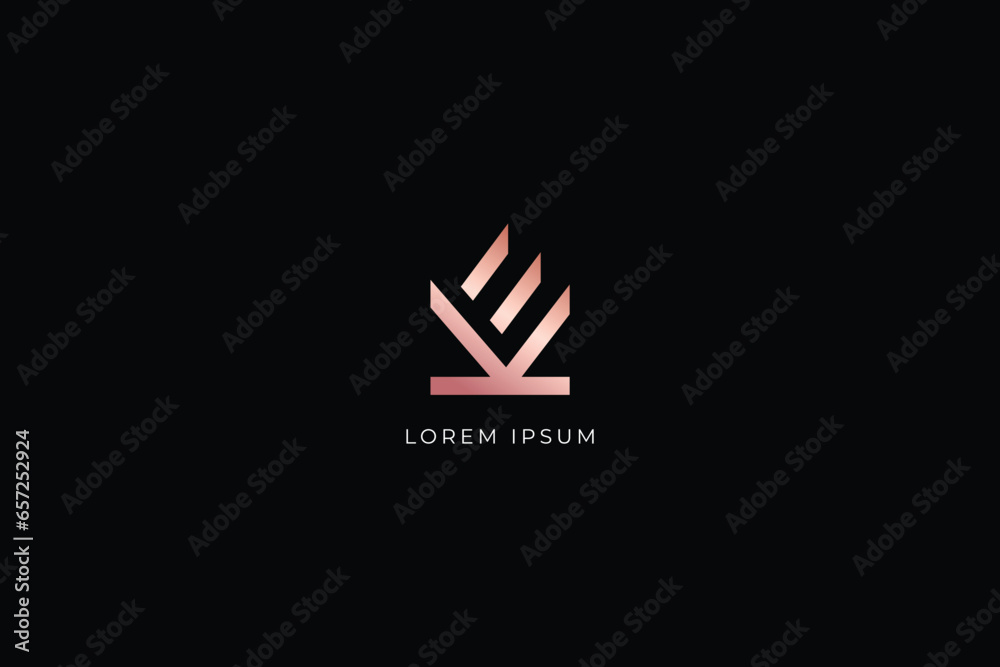 ek letter modernabstract design creative golden wordmark design typography illustration, ke wordmark, ek logo