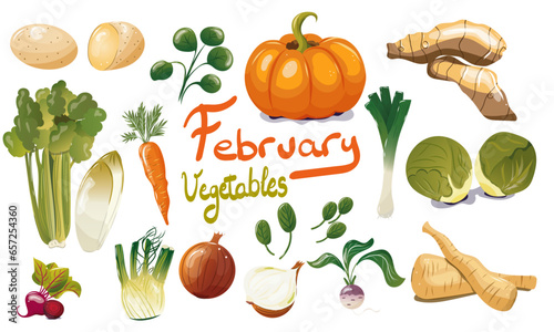 Ensemble de légumes de saison du mois de février. Illustration vectorielle. Graphic design éléments. Légumes pour clipart ou pour illustrations. 