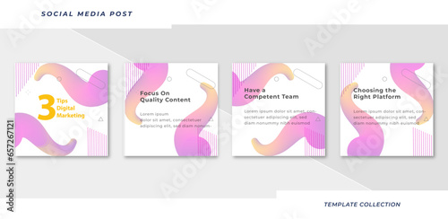 Tips for social media background design collection banner template