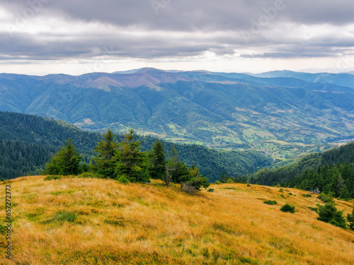 mountainous landscape in autumn. trees on the grassy hills. beautiful outdoor scenery of carpathian countryside © Pellinni