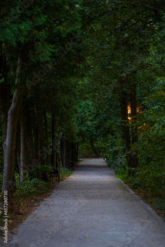 Central Park. Evening park. Walk in the park. Road through the park