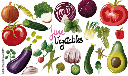 Ensemble de légumes de saison du mois de juin. Illustration vectorielle. Graphic design éléments. Légumes pour clipart ou pour illustrations. 