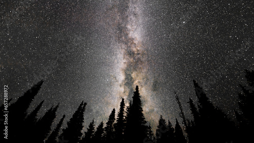 Stars & Milkyway above treeline near Montana Idaho Border - Nightscape meteor shower photo