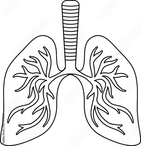 Lungs Human Organ Outline Illustration Isolated Vector