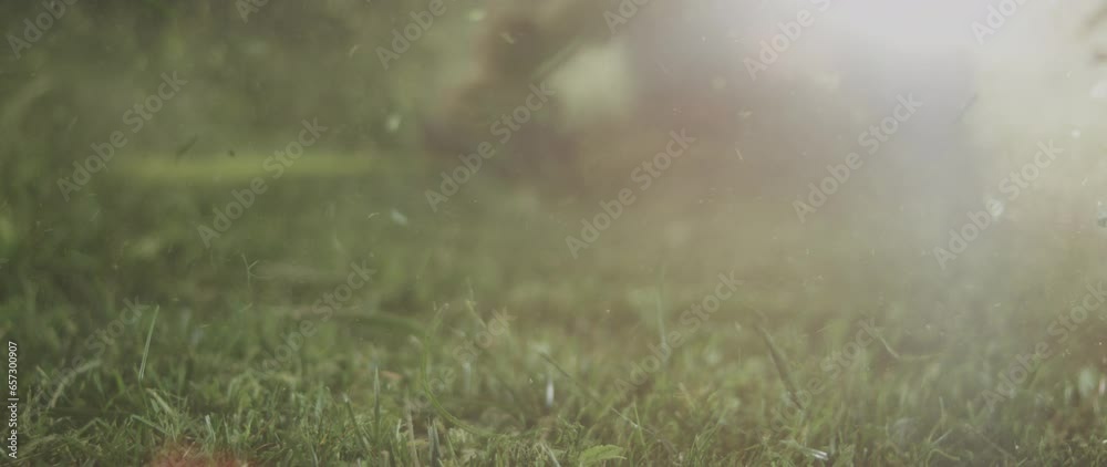 Slow-motion, close-up of a gardener in jeans mowing green lawn with manual gas grass mower. Garden maintenance in summertime Slow-motion, close-up of a gardener in jeans mowing green lawn with manual gas grass mower. Garden maintenance in summertime