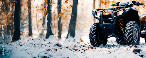 Front view of ATV in winter forest