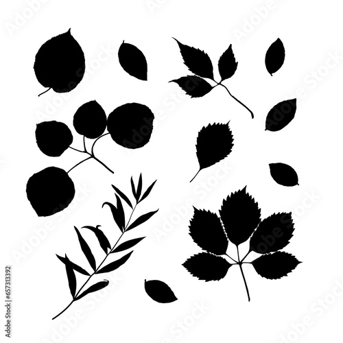 Leaves black silhouettes isolated on white background set