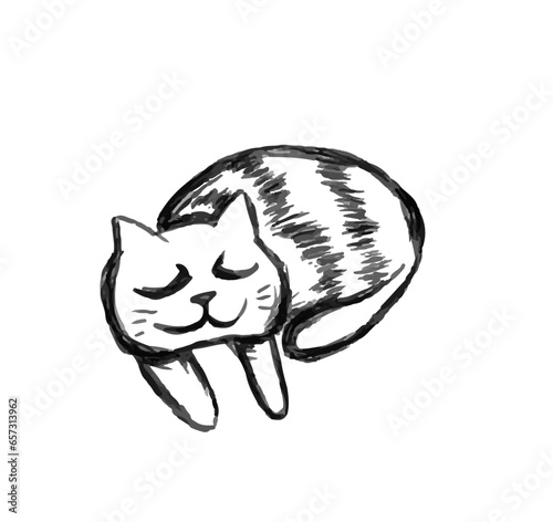 cute sketch cozy simple cat sleeping isolated vector