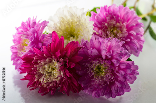 Bouquet of asters flowers on a white background