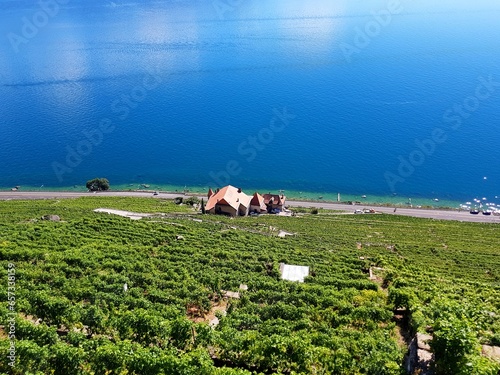 Lavaux, vignobles en terrasse, Suisse photo