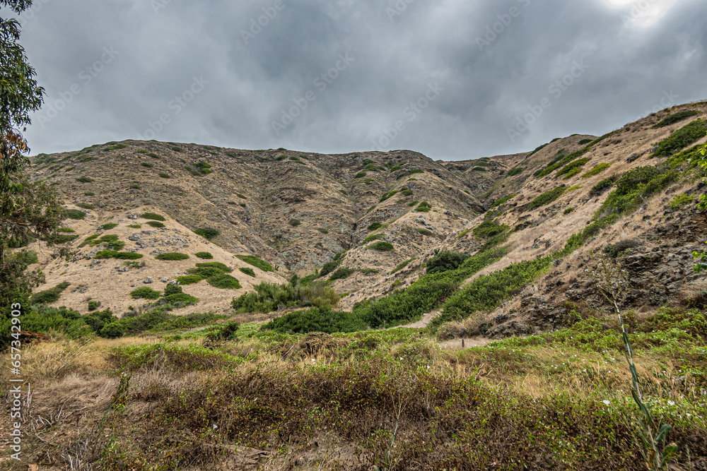 Santa Cruz Island, CA, USA - September 14, 2023: Wall of hills under dark cloudscape behind green wilderness of weeds, bushes and some trees