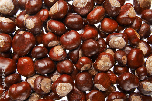 texture of chestnuts on a white background