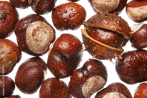 wet chestnuts closeup on white background
