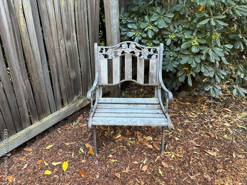 wooden bench in the garden