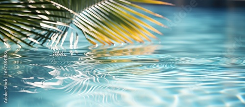 Poolside palm reflex With copyspace for text