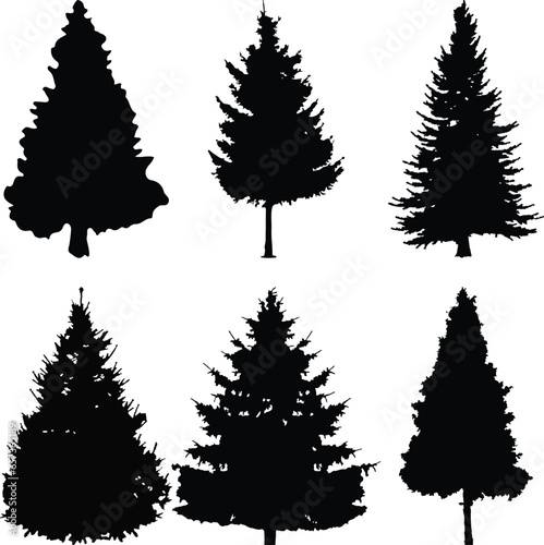 Pine tree set. Realistic pine tree silhouettes for tree lines, Christas, outdoors.