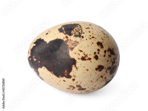 One speckled quail egg isolated on white