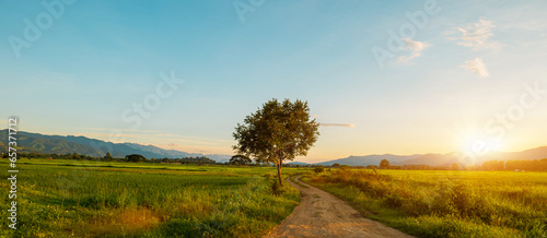 Dirt road, Country road and green farmland natural scenery at sunrise or sunset sky background.