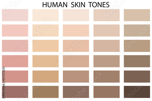 Human skin tone color palette set. Vector illustration. EPS 10.