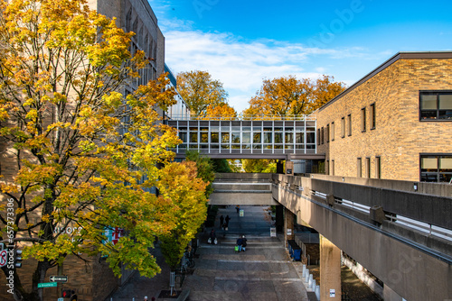 Downtown Portland, OR Buildings Near Portland State University During Fall