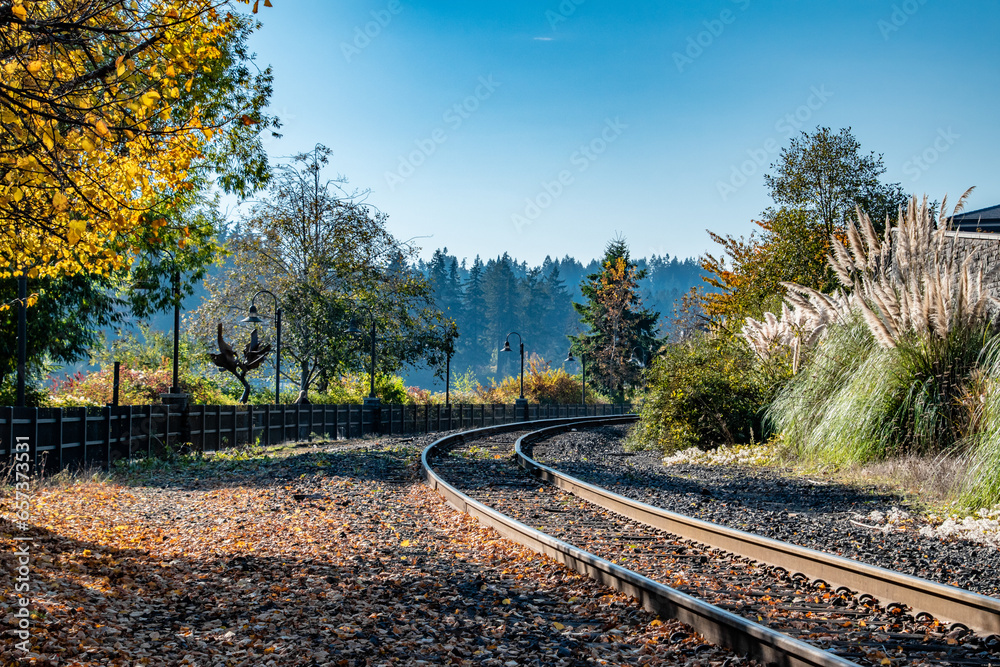 Train Tracks Turning Around Bend of Lake Oswego with Fall Leaves and Trees Train Tracks Turning Around Bend of Lake Oswego with Fall Leaves and Trees
