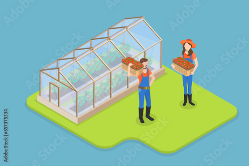 3D Isometric Flat Vector Conceptual Illustration of Greenhouse, Growing Vegetables in Agriculture