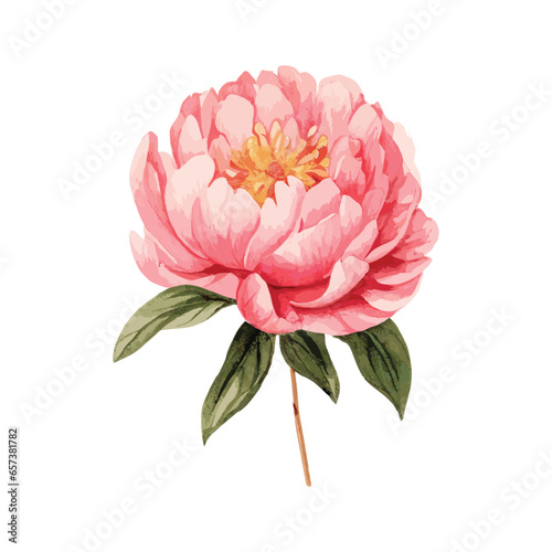 Immerse yourself in the elegance of this pink and green floral illustration. It will allow you to design bouquets, wreaths, arrangements, and customize your wedding invitations, anniversary, birthday,