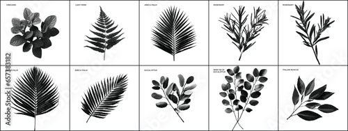 Botanic Dither Bitmap Pixelated Vector