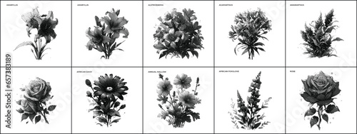 Botanic Dither Bitmap Pixelated Vector