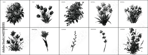 Botanic Dither Bitmap Pixelated Vector