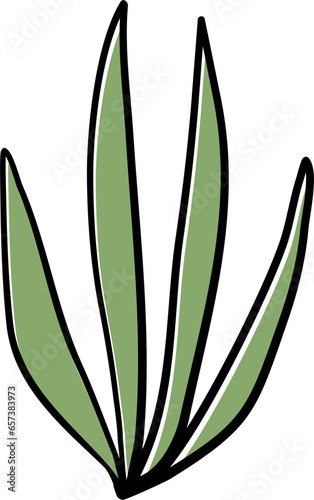 Green Water Leaf Leaves Plant