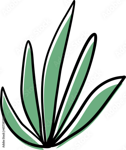 Green Water Leaf Leaves Plant