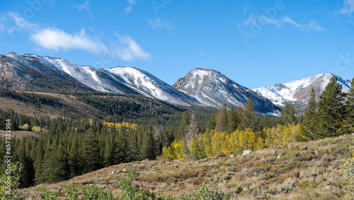 Patches of Autumn colored leaves in the California Eastern Sierras landscape with snow capped mountains small clouds and copy space against a bright blue sky in the background.