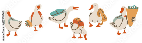 Group of cute geese with backpacks. Geese children, schoolchildren. Flat vector illustration, eps10