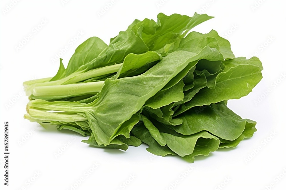 Generative AI : Close up lactuca sativa leaves isolated on white background. Generative AI : Close up lactuca sativa leaves isolated on white background.