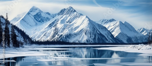 Despite its high elevation the Alaska Range is always snowy forming a stunning contrast with the scenery at Wonder Lake