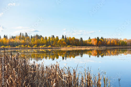 View of autumn trees and blue sky reflections in Lacombe Lake