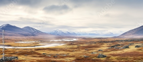 Arctic regions tundra scenery photo