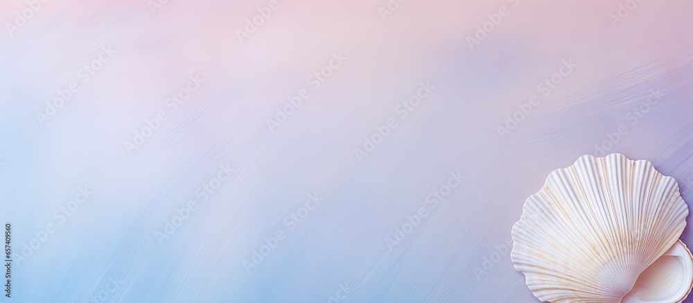 Fototapeta premium Raw cockle on isolated pastel background Copy space