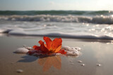 photo of a flower washed by the waves