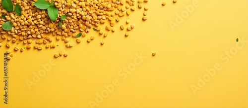 copy space image on isolated background showcasing fenugreek seeds photo
